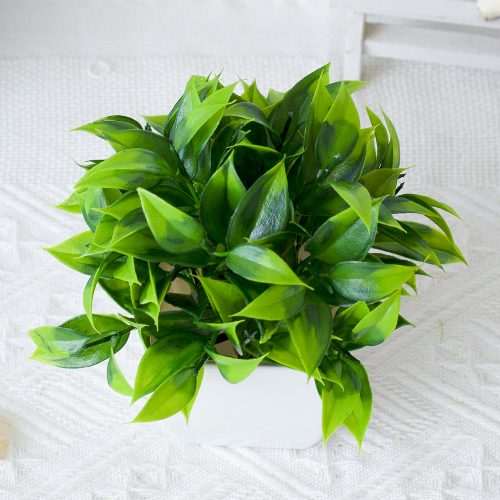 Vendita calda transfrontaliera simulazione pianta pianta da tavolo pianta verde pompelmo foglia erba in vaso decorazione interna ed esterna bonsai di plastica_voghion.com