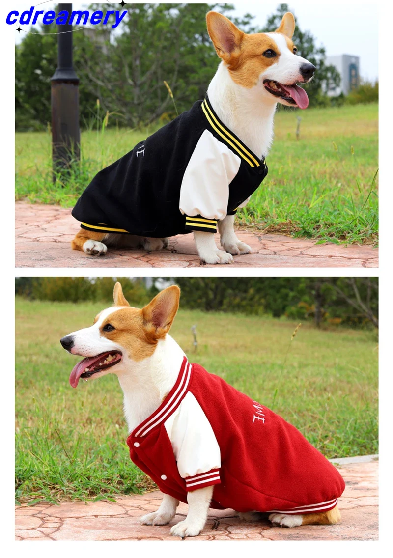 Vêtements pour chiens, uniformes de baseball pour animaux, vestes pour chiens de petite, moyenne et grande taille, vêtements pour chihuahuas et labradors_voghion.com