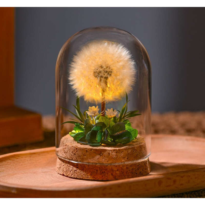 Lampada da notte Eterna Fiore essiccato Dente di leone Esemplare Copertura in vetro Donata a madre, insegnante, compagna di classe Desktop_voghion.com