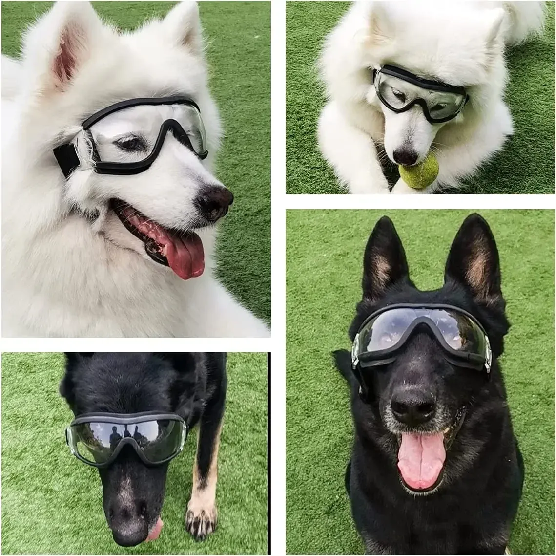 Abbigliamento per cani che indossa occhiali da sole affronta una neve nuvolosa Occhiali che rendono un animale domestico di medie dimensioni_voghion.com