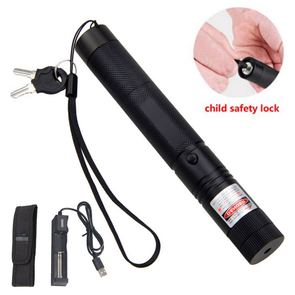 1mw Purple Laser Pointer Pen Power Adjustable Visible Light & Holster_voghion.com