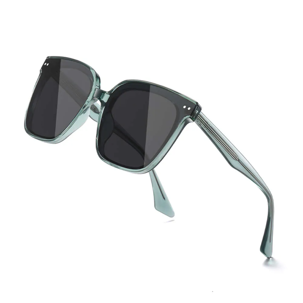 TR Polarized Large Frame Acetate Needle Arms Sunglasses_voghion.com
