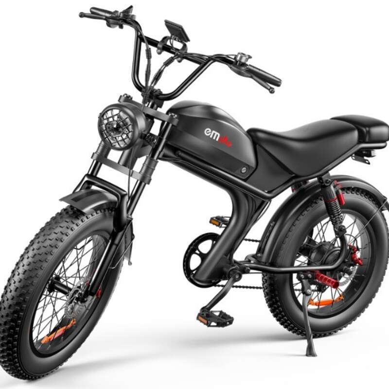 C93 Dual Motorsykkel Privatmodell 20 Tommers snødekk Elsykkel Ebike_voghion.com