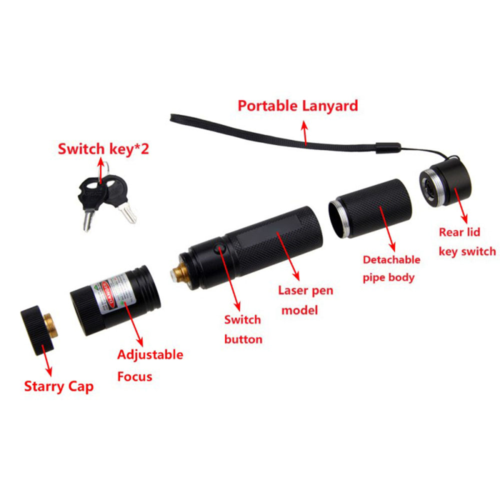 1mw Purple Laser Pointer Pen Power Adjustable Visible Light & Holster_voghion.com