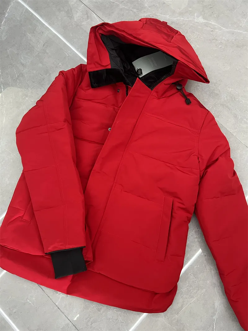 Ny stil Vinter Mænd Fritid Jassen Chaquetas Parka hvid and Overtøj Hætte holde varmen dunjakke Manteau mode_voghion.com