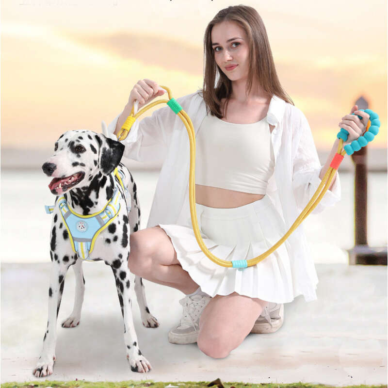 Nuova catena per cani integrata a doppio strato con ricarica antideflagrante, resistente e resistente, con corda da corsa per animali domestici_voghion.com