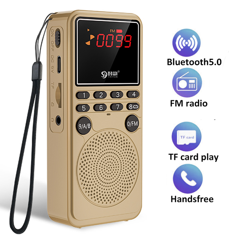 Mini radio FM portatile Bluetooth 5.0 altoparlante registratore lettore musicale stereo supporto vivavoce scheda TF AUX ricerca automatica dei canali_voghion.com