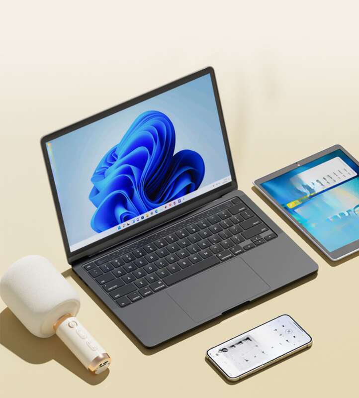 National M5 Audio Integrated Microphone, Wireless Bluetooth, Mobile Phone Singing K-tool, KTV, Home K-song_voghion.com
