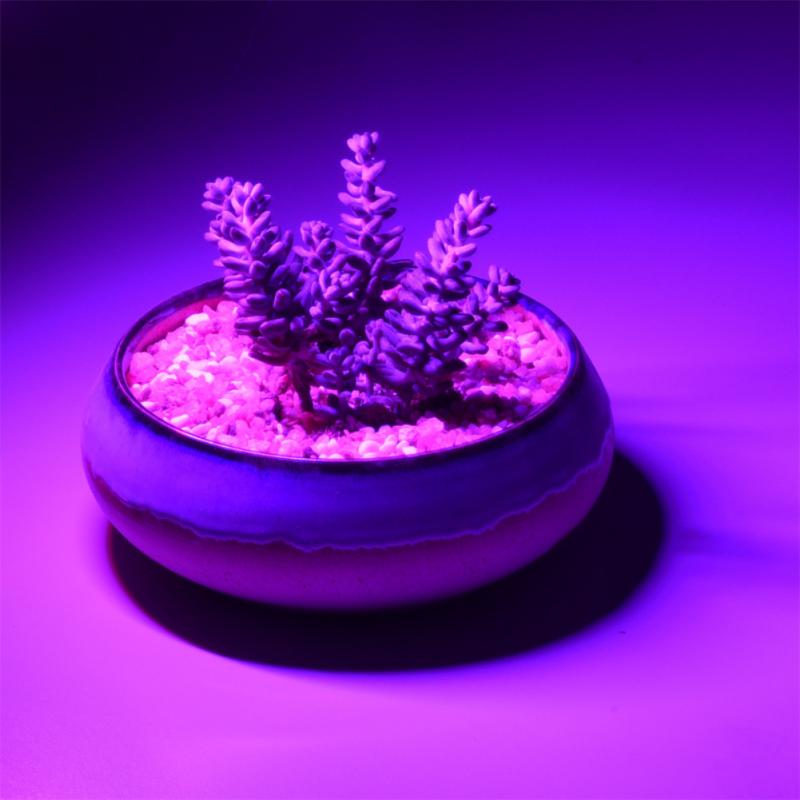 Lampada per la crescita delle piante a LED USB 5V 2.5W Spettro completo Lampada per la crescita delle piante in alluminio Fitolampy per sistema idroponico Serra Pianta verde_voghion.com