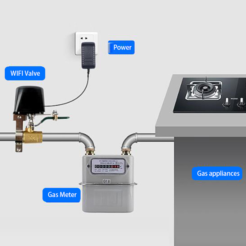 Tuya WiFi GAS GPL Sensore di perdite Allarme Rilevatore di sicurezza antincendio Sensore di perdite Supporto per protezione casa intelligente Temperatura Smartlife_voghion.com