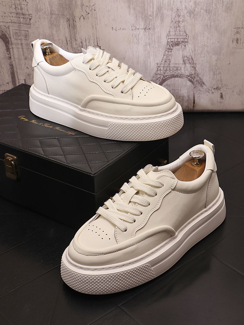 Lässige Brettschuhe mit dicker Sohle, niedriger Schnitt, vielseitige, schlichte koreanische Version für Herren, trendige_voghion.com