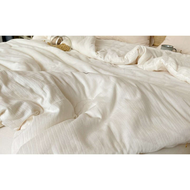 Japanese Pure 50 Soybean Fiber Class A Single Four Seasons Summer All Cotton Thickened Warmth Quilt Core_voghion.com