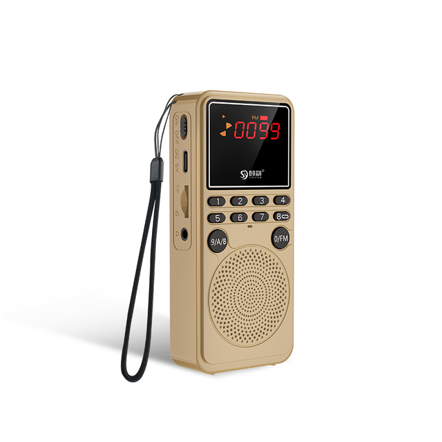 Mini radio FM portatile Bluetooth 5.0 altoparlante registratore lettore musicale stereo supporto vivavoce scheda TF AUX ricerca automatica dei canali_voghion.com