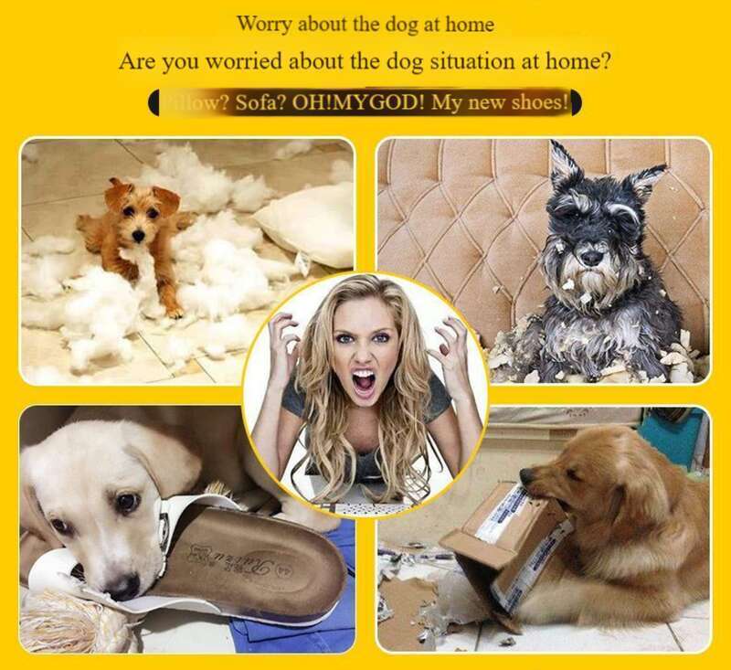 【Vendita calda di 30 giorni 1898 pezzi】 Pointe Making Strange Screaming Desperation Fighting Chicken Dog Toy Bite Resistant Puppy_voghion.com