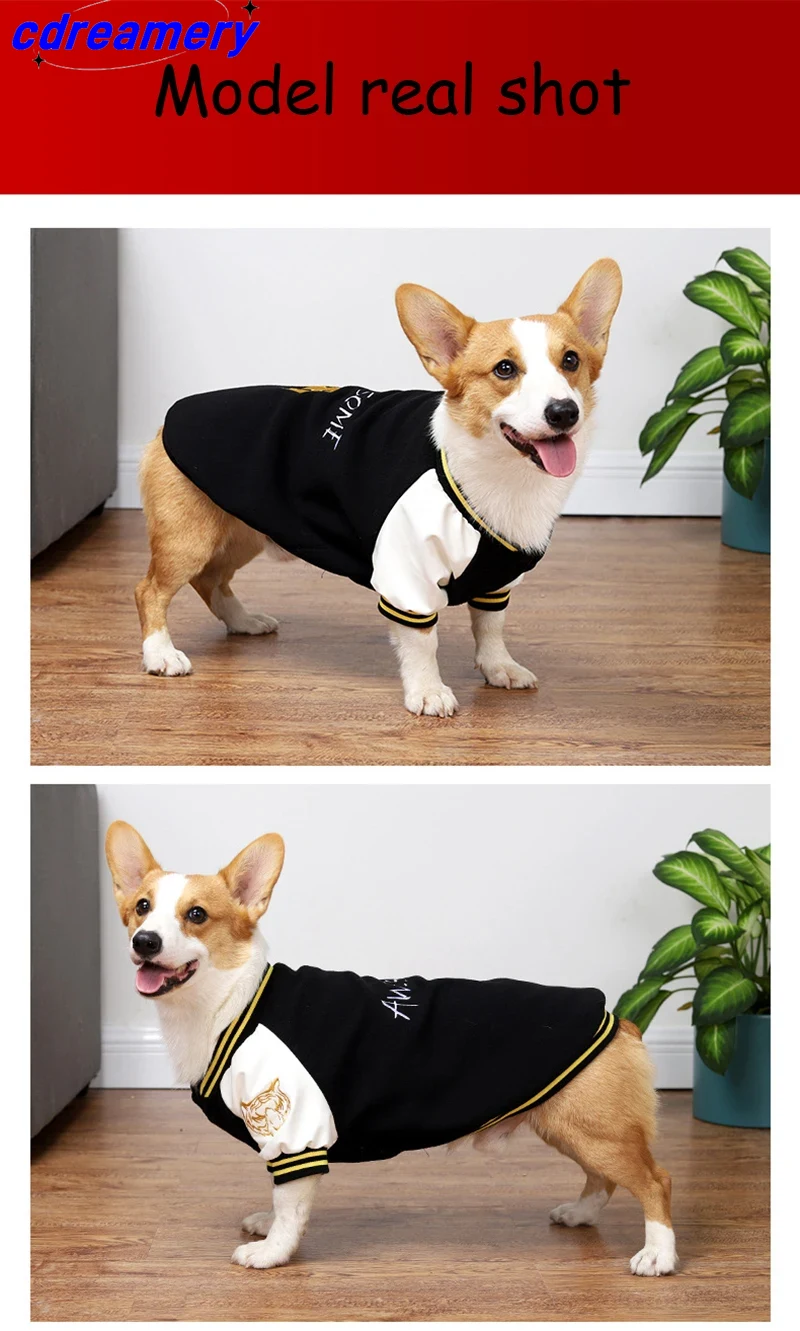 Vêtements pour chiens, uniformes de baseball pour animaux, vestes pour chiens de petite, moyenne et grande taille, vêtements pour chihuahuas et labradors_voghion.com