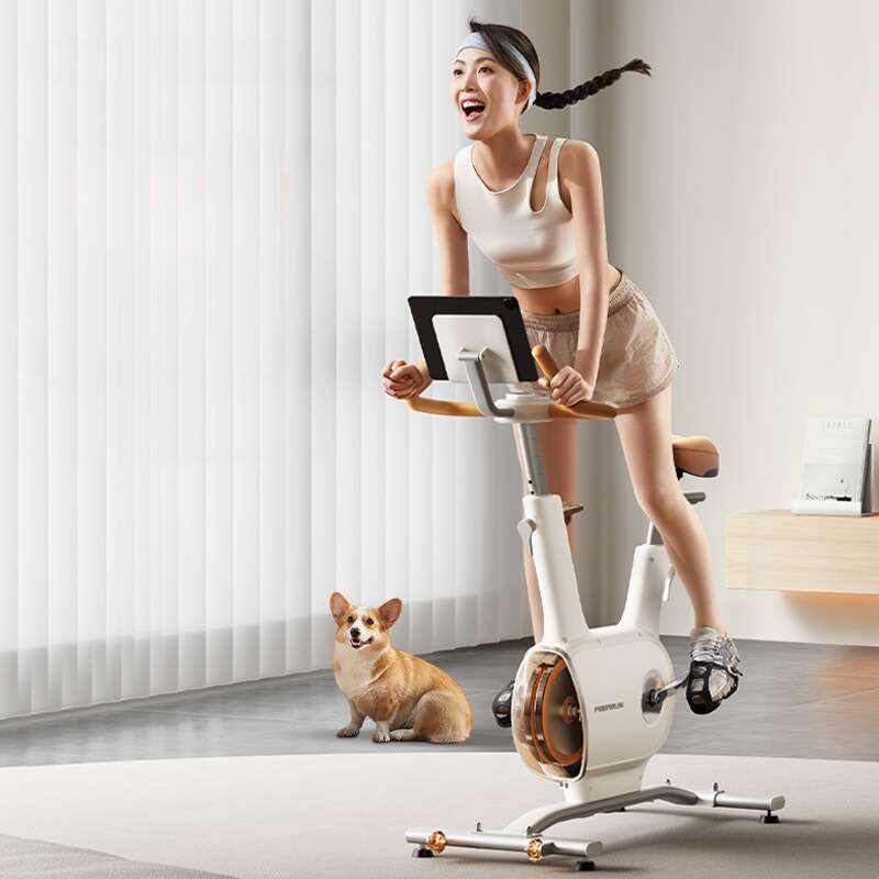 Feilton Self Powered Spinning Bike, Intelligent Home Small Equipment, Indoor Ultra Quiet Fitness Equipment_voghion.com
