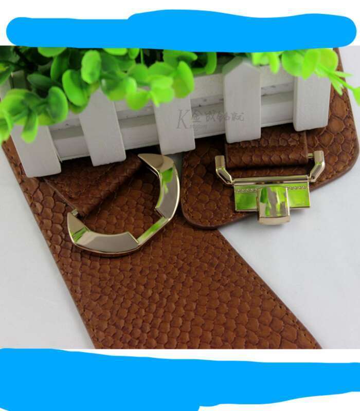 New Diagonal Elastic Ultra Wide Waistband With Snake And Crocodile Pattern Decoration For Women's Waist Cover_voghion.com