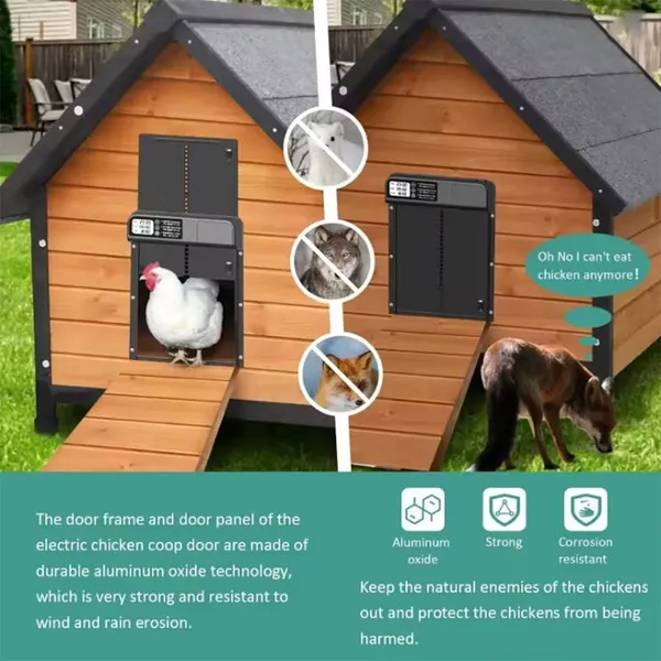 Apriporta automatico per pollame con alimentazione solare, design resistente in alluminio._voghion.com