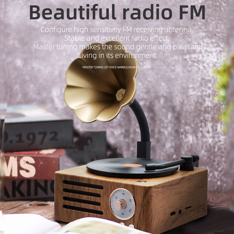 Radio retrò Mini radio FM portatile Bluetooth Speaker MP3 Music Box Giradischi vintage con microfono Supporto TFCard/AUX Play_voghion.com