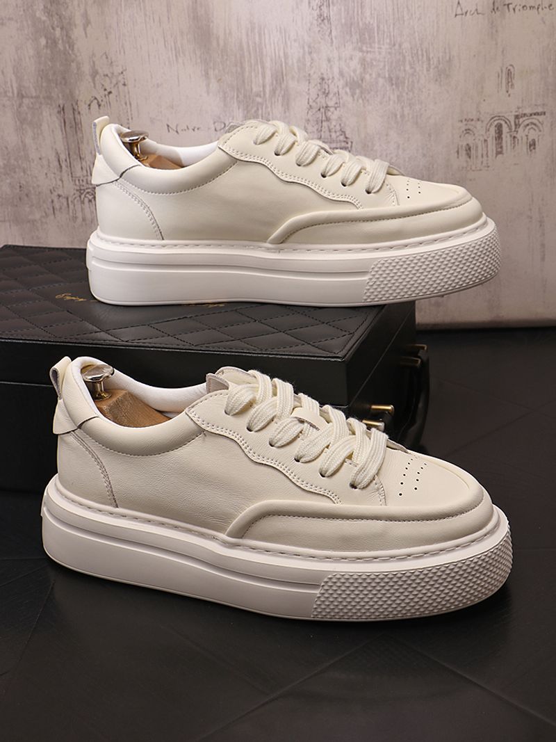 Lässige Brettschuhe mit dicker Sohle, niedriger Schnitt, vielseitige, schlichte koreanische Version für Herren, trendige_voghion.com