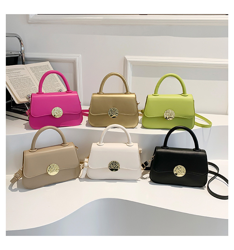 Women's Tide 2024 Fashion Style Simple Solid Color Handbag Spring Multi color Fashionable Handheld Crossbody Bag_voghion.com