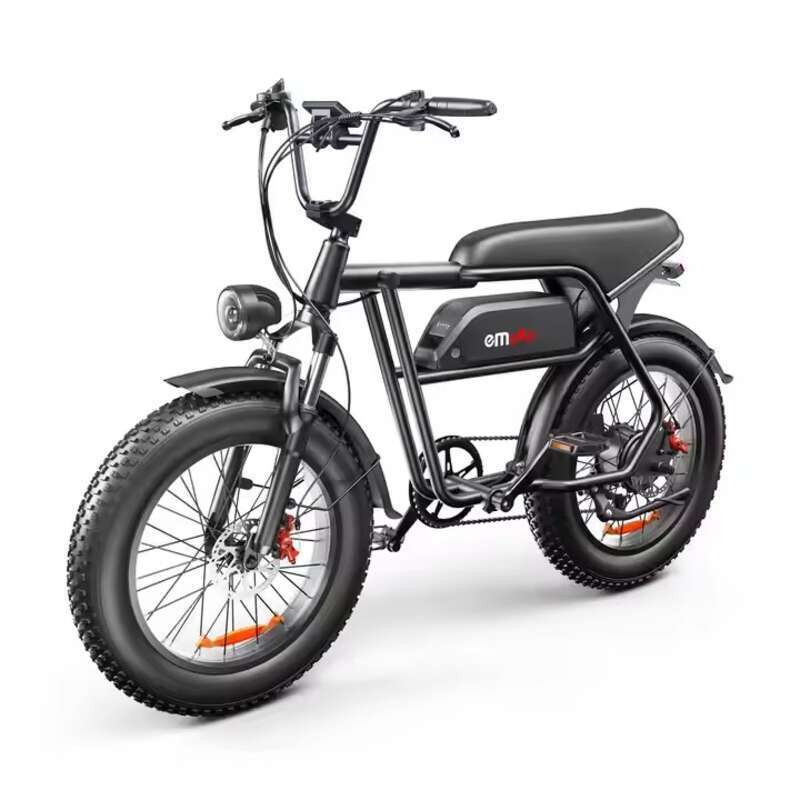 Europe Allemagne Entrepôt Vélo électrique à grande vitesse Vélo à la mode respectueux de l'environnement_voghion.com