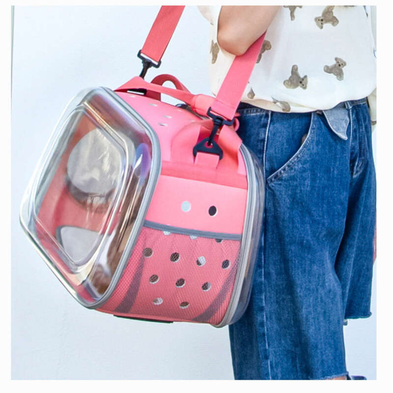 Neu Transparente Raumkabine Katze Handheld Tasche Einzelnen Schulter_voghion.com