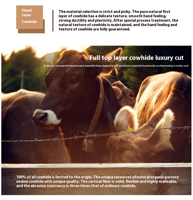 Crazy Horse ādas retro plecu soma, jauna jostas soma, vīriešu apģērba jostas mini soma, tīras govs ādas telefona soma, īstas ādas moderna soma_voghion.com