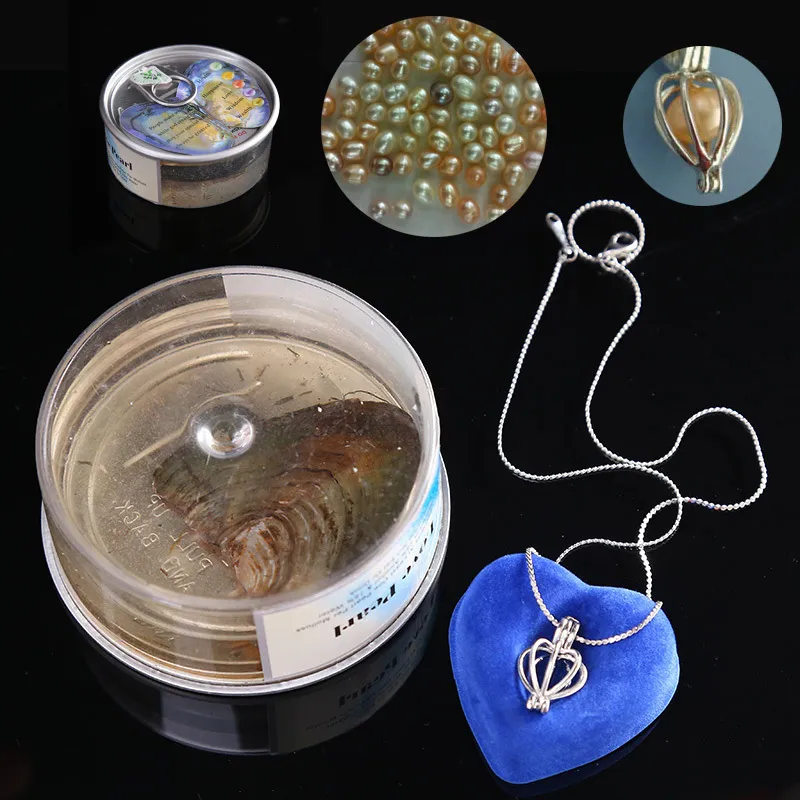 Anhänger Halsketten Liebesperlenkette Natürliche Auster Süßwasser Set Frauen Modeschmuck Geheimnisvolle Überraschung_voghion.com