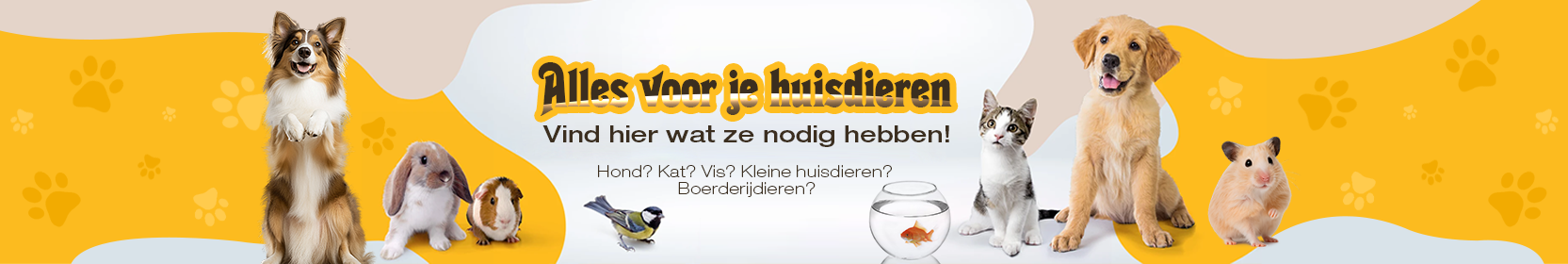 Voghion_coupon_banner