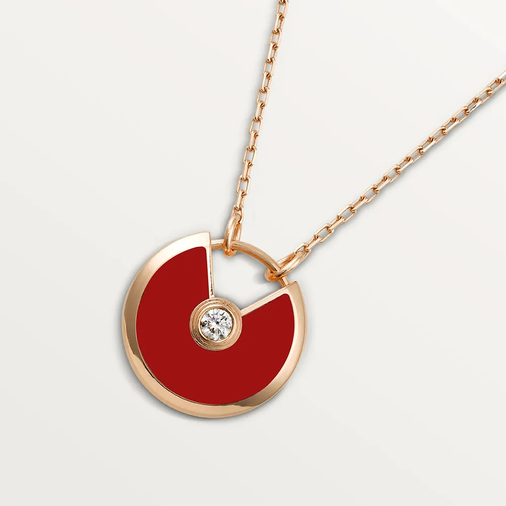 Designer hanger ketting voor dames rvs sieraden_voghion.com