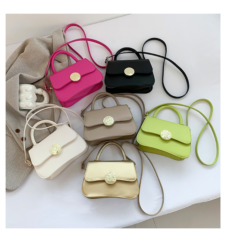 Women's Tide 2024 Fashion Style Simple Solid Color Handbag Spring Multi color Fashionable Handheld Crossbody Bag_voghion.com