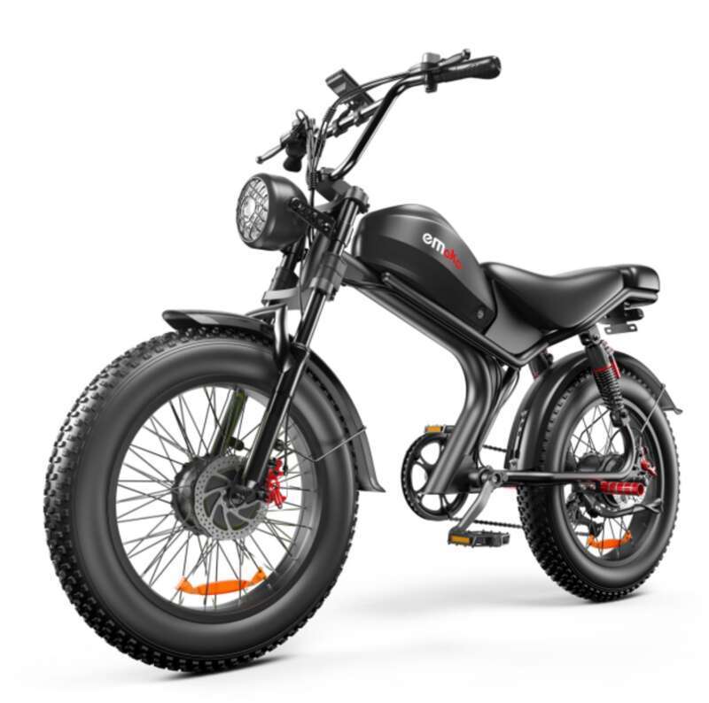 C93 Dual Motorsykkel Privatmodell 20 Tommers snødekk Elsykkel Ebike_voghion.com