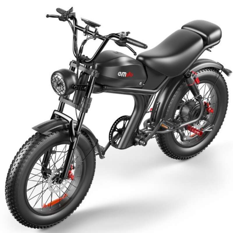 C93 Dual Motorsykkel Privatmodell 20 Tommers snødekk Elsykkel Ebike_voghion.com