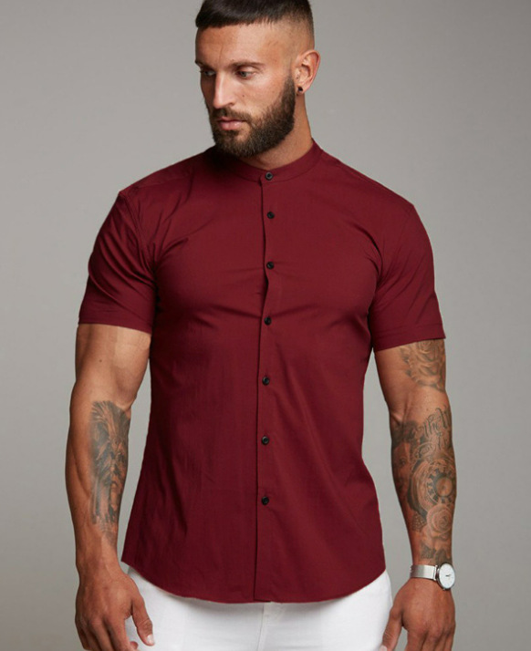 Ropa de hombre Lanting camisa de color sólido con cuello levantado de manga corta