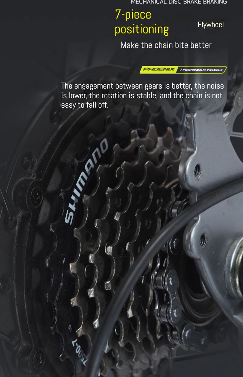 Phoenix lithium battery mountain 26 inch commuting assistance variable speed electric new national standard bike_voghion.com