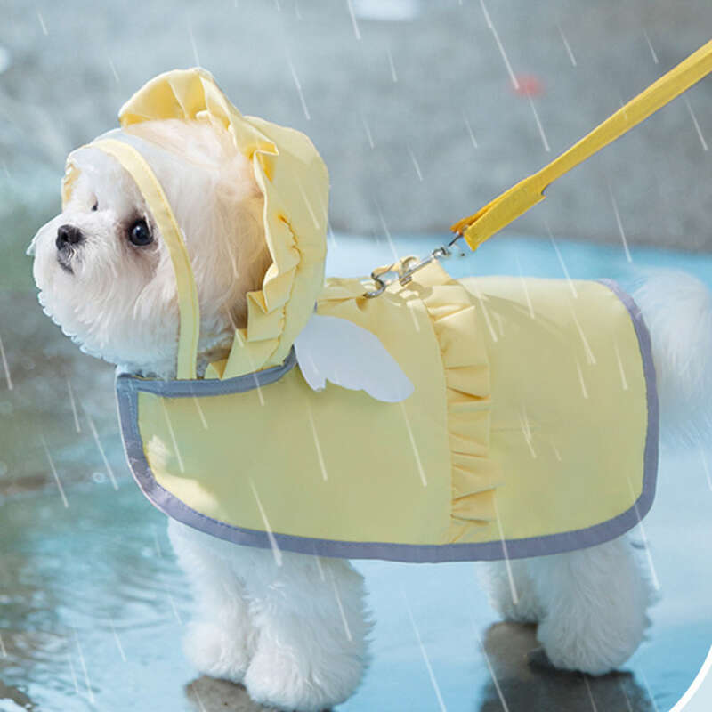 Minimalist Şeker Renkli Melek Yağmurluk Küçük Kediler İçin. İlkbahar ve Yaz Aylarında Seyahat Ederken Evcil Köpekleri Çekmek İçin Kullanılabilir_voghion.com