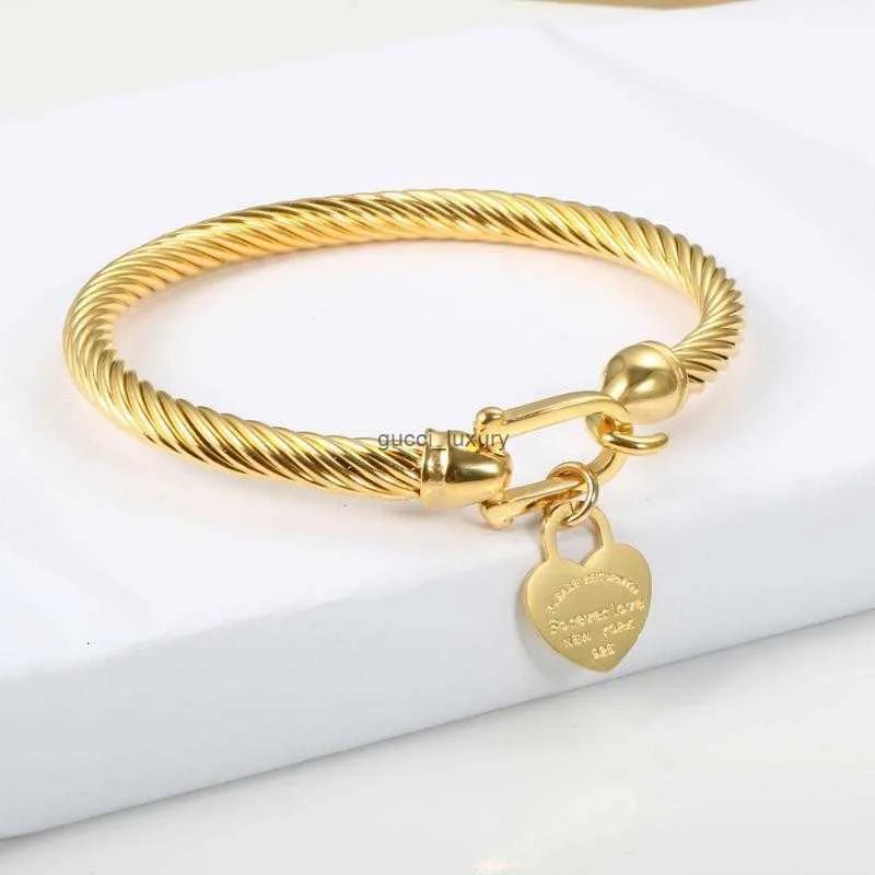 Titanstahl Kabel Drot Goldfaarf Léift Häerz Charm Armband Mat Hakenverschluss Fir Fraen Männer Hochzäitsschmuck_voghion.com
