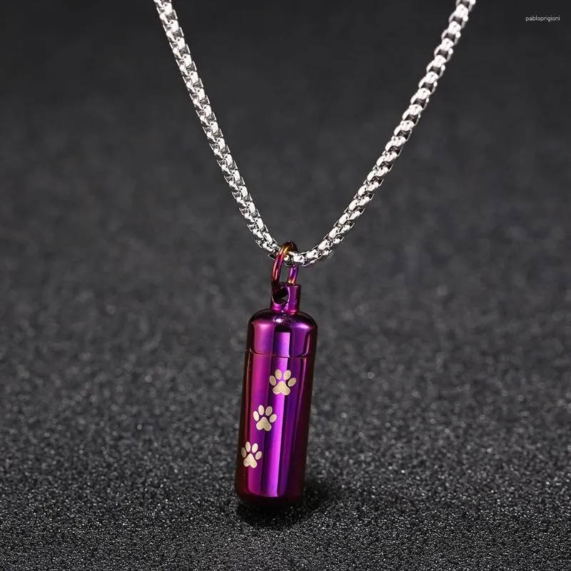 Collane con ciondolo in acciaio inossidabile, collana con zampa di animale domestico, souvenir commemorativo per la cremazione, accessori per cuccioli per le ceneri_voghion.com