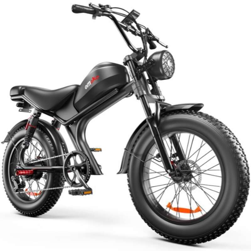 C93 Dual Motorsykkel Privatmodell 20 Tommers snødekk Elsykkel Ebike_voghion.com