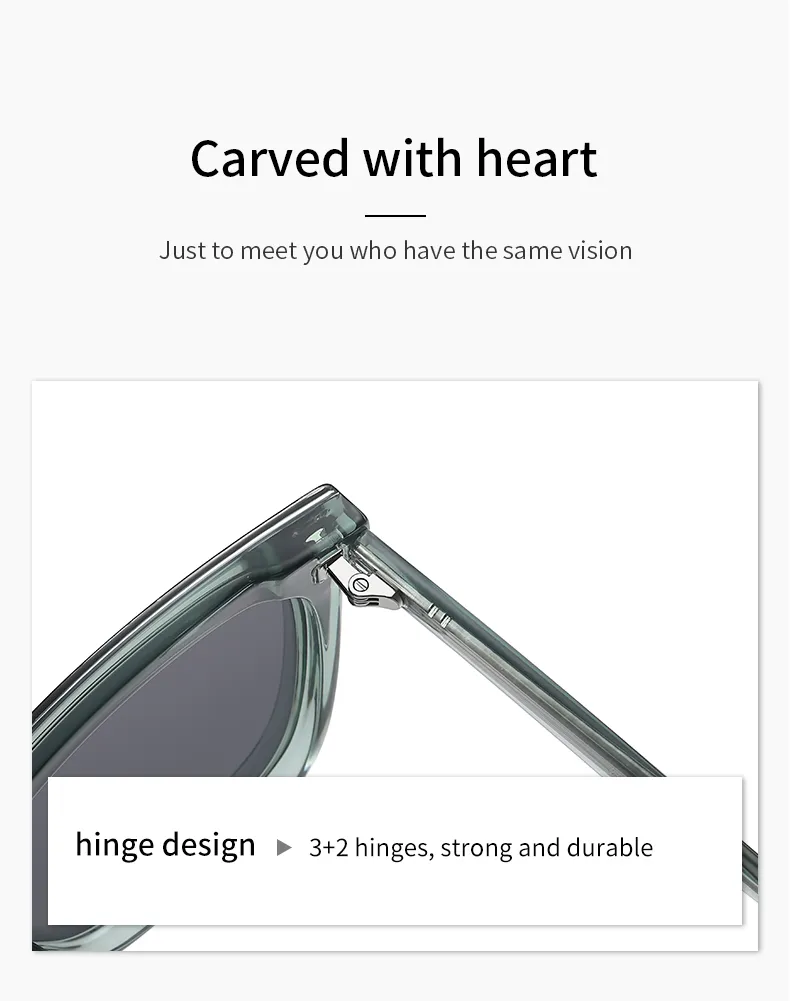 TR Polarized Large Frame Acetate Needle Arms Sunglasses_voghion.com