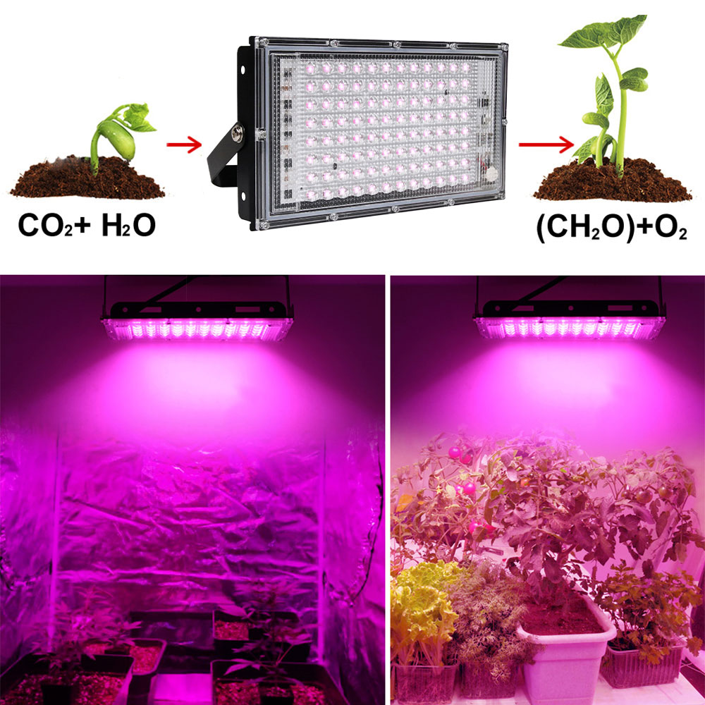 LED Grow Light Full Spectrum Phyto Lamp with Stand Grow Light for Greenhouse Seeding Hydroponic Plant Growth Lighting EU Plug_voghion.com
