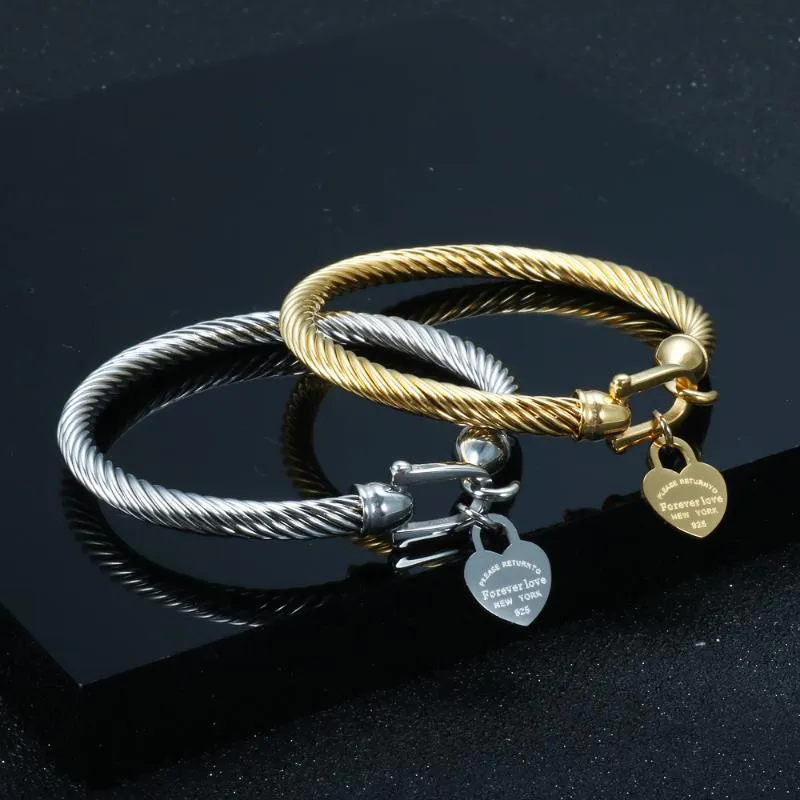 Titanium Steel Bracelet with Hook Jewelry Cable Wire Gold Color Love Heart Charm Bangle Closure for Women Men Wedding_voghion.com