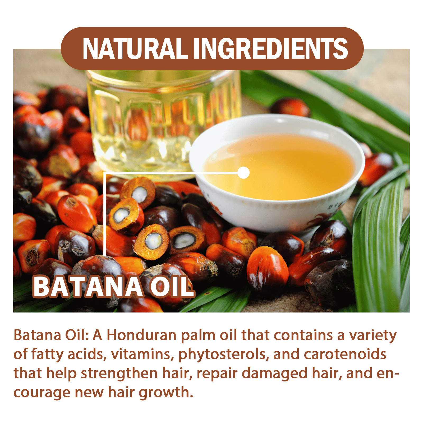 EELHOE Batana-Öl-Conditioner, feuchtigkeitsspendend und hydratisierend, verbessert die Pflege von trockenem, krausem, glattem und flauschigem Haar_voghion.com