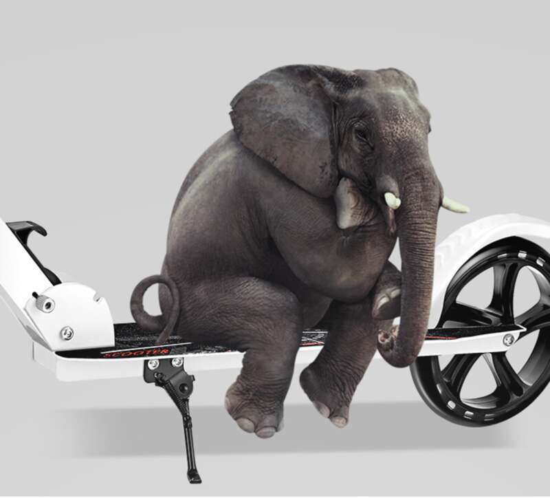Einfach Rees, Begleet vu Gléck: Zweerad ausklappbar Scooter, e Choix fir all Alter_voghion.com