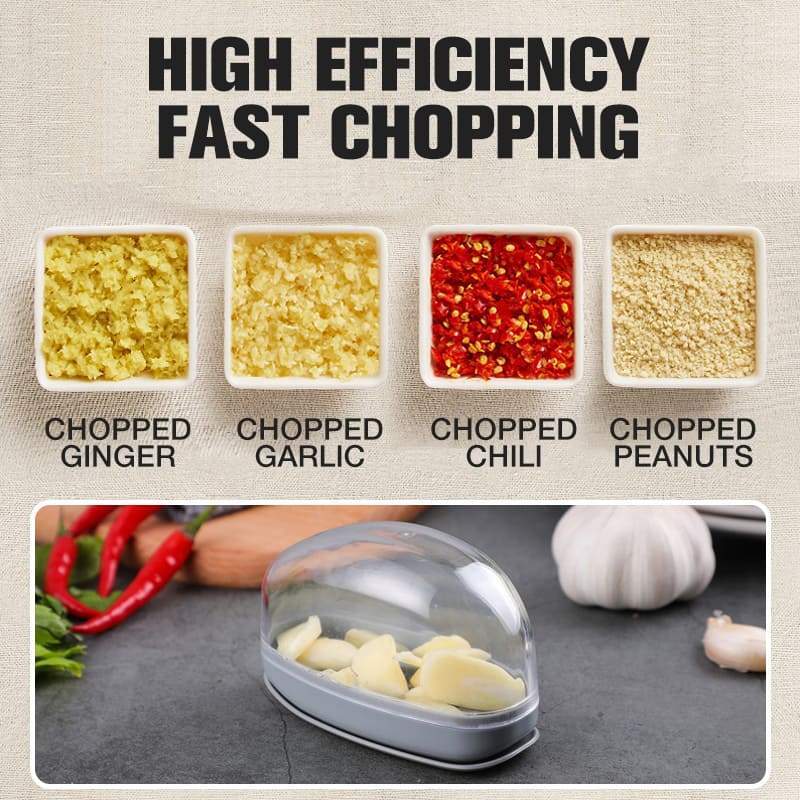 Portable 2-in-1 Garlic Processor Steinless Steel Garlic Press and Slicer Garlic Crusher Chopper Kitchen Utensils Accessories New_voghion.com