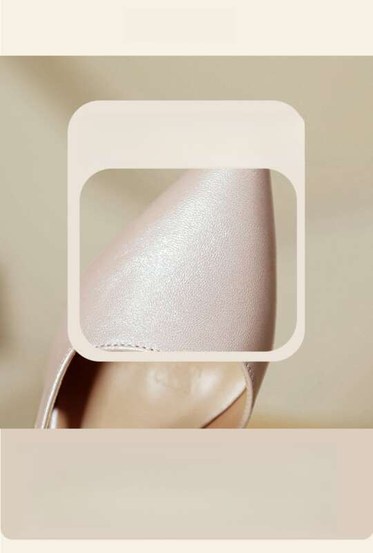 Baotou Sandals 2025 New Summer French Mary Jane Shoes Chunky Heel Pointed Toe High Heels_voghion.com