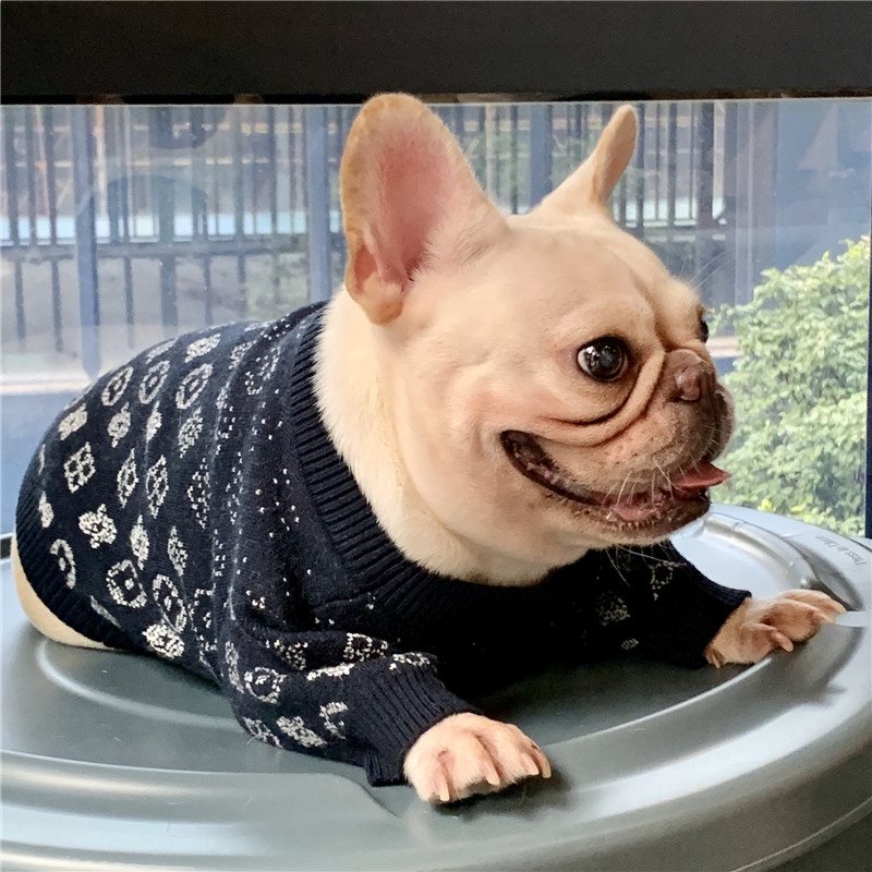 Klær Katt Bulldog Mops Teddy Schnauzer Valp Klær Høst Vinter Hundegensere_voghion.com
