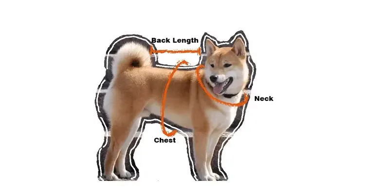 Vestiti invernali per cani in stock all'ingrosso_voghion.com
