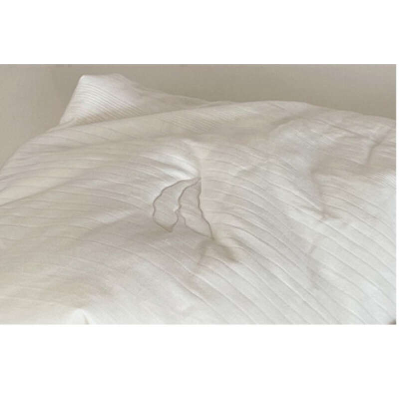 Japanese Pure 50 Soybean Fiber Class A Single Four Seasons Summer All Cotton Thickened Warmth Quilt Core_voghion.com